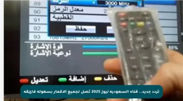 تردد جديد.. قناة السعودية نيوز 2025 تصل لجميع الأقمار بسهولة فائقة